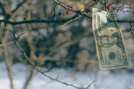  Everyone has a money tree. Right? 